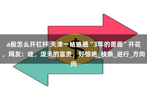 a股怎么开杠杆 天津一姑娘晒“3年的蔷薇”开花，网友：哇，泼天的富贵，好惊艳_枝条_进行_方向