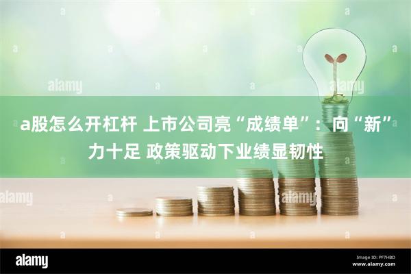 a股怎么开杠杆 上市公司亮“成绩单”：向“新”力十足 政策驱动下业绩显韧性