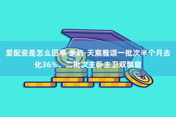 爱配资是怎么回事 象屿·天宸雅颂一批次半个月去化36%，二批次主卧主卫双飘窗