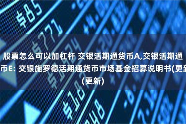 股票怎么可以加杠杆 交银活期通货币A,交银活期通货币E: 交银施罗德活期通货币市场基金招募说明书(更新)